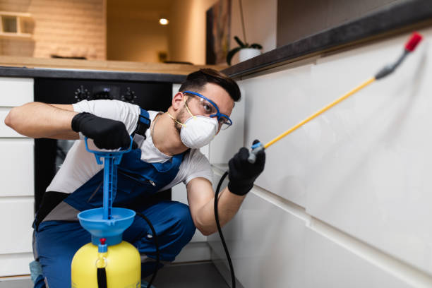 Best Pest Prevention Services  in Quincy, MA