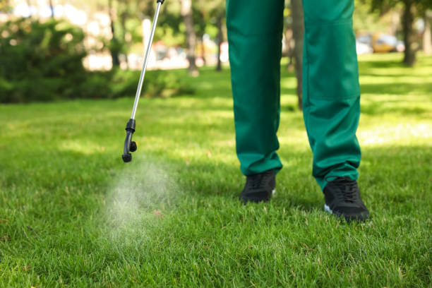Professional Pest Control in Quincy, MA