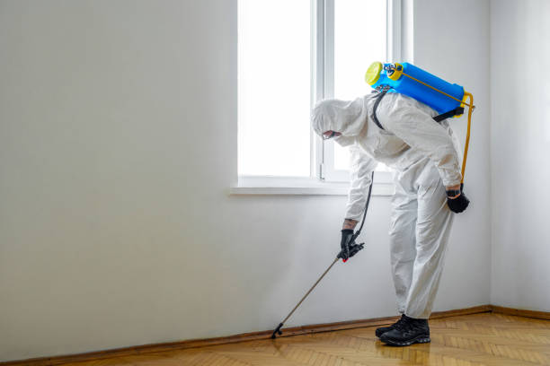 Best Residential Pest Control  in Quincy, MA