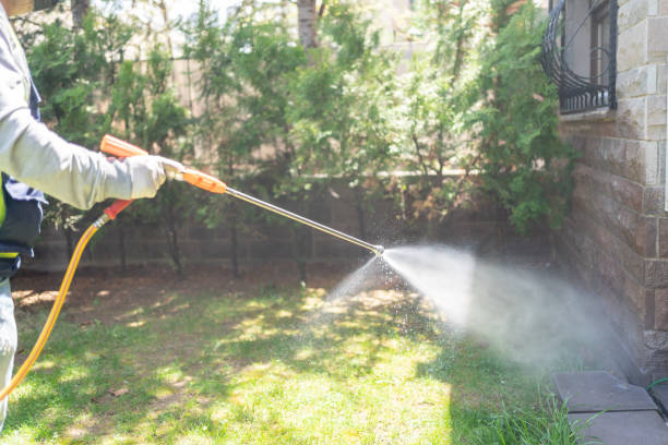 Best Residential Pest Control  in Quincy, MA