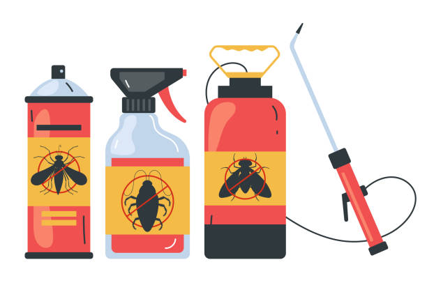 Insect Control in Quincy, MA