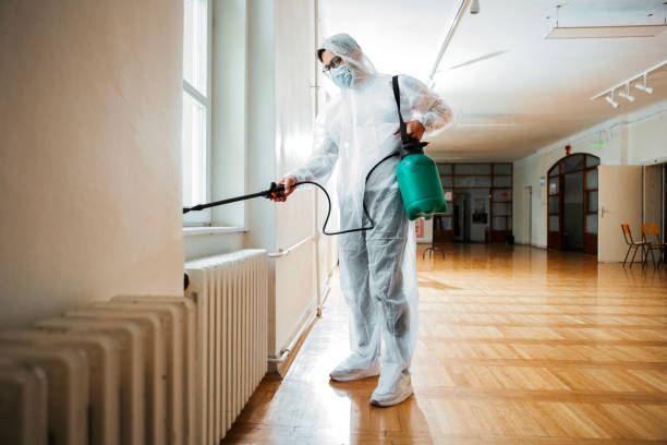 Best Emergency Pest Control  in Quincy, MA